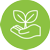 Pastoral Peer Coaching